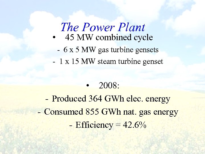  • The Power Plant 45 MW combined cycle - 6 x 5 MW