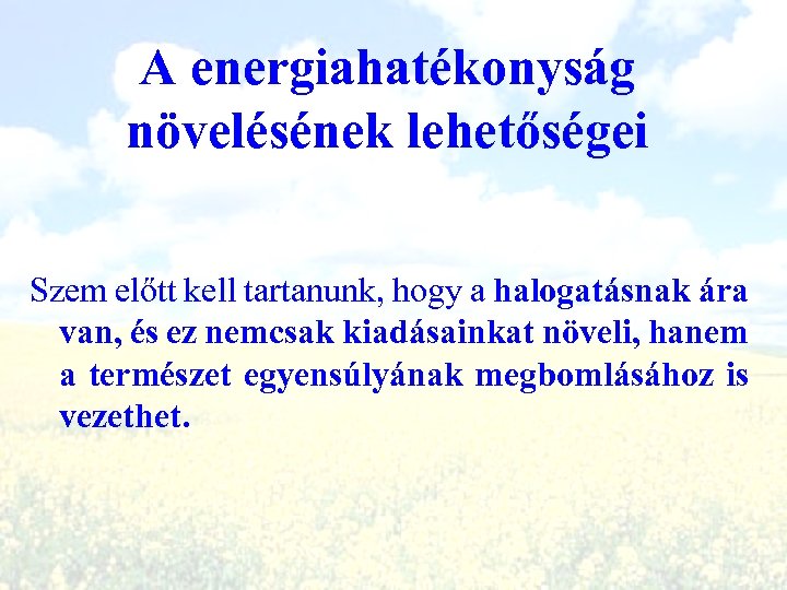 A energiahatékonyság növelésének lehetőségei Szem előtt kell tartanunk, hogy a halogatásnak ára van, és