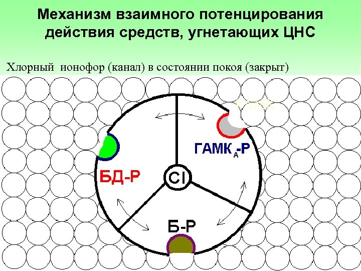 Механизм взаимного потенцирования действия средств, угнетающих ЦНС Хлорный ионофор (канал) в состоянии покоя (закрыт)