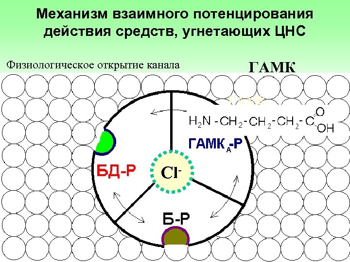 Механизм взаимного потенцирования действия средств, угнетающих ЦНС Физиологическое открытие канала ГАМК Сl- 