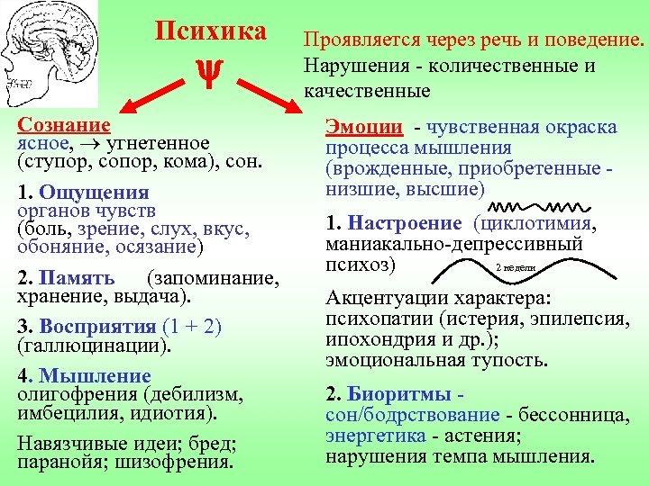 Психика Сознание ясное, угнетенное (ступор, сопор, кома), сон. 1. Ощущения органов чувств (боль, зрение,