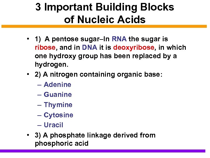 3 Important Building Blocks of Nucleic Acids • 1) A pentose sugar–In RNA the