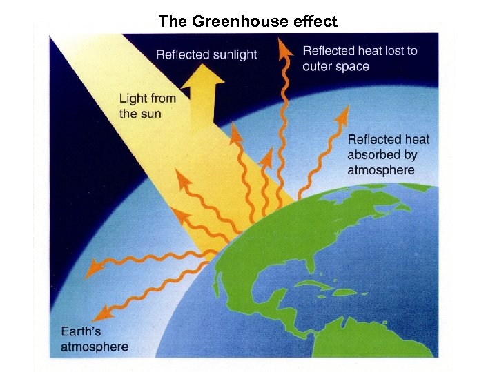 The Greenhouse effect 