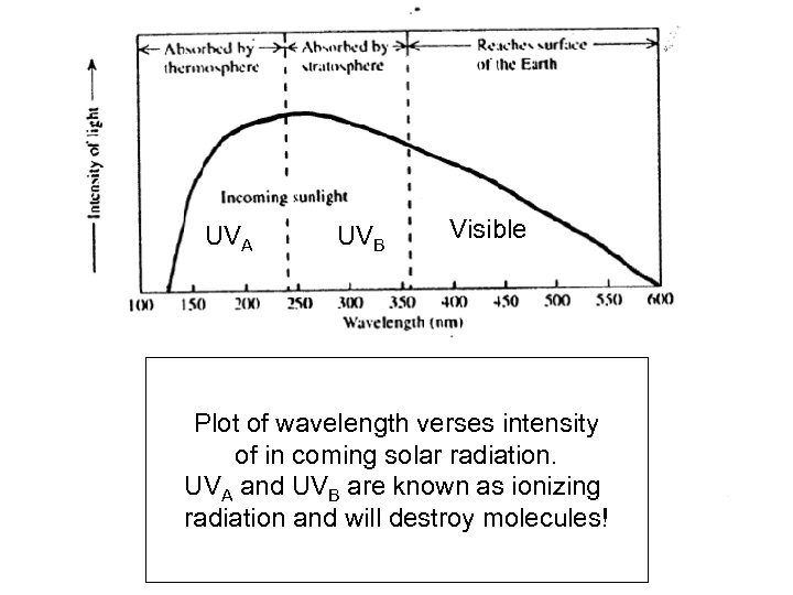 UVA UVB Visible Plot of wavelength verses intensity of in coming solar radiation. UVA