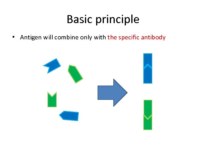 Basic principle • Antigen will combine only with the specific antibody 