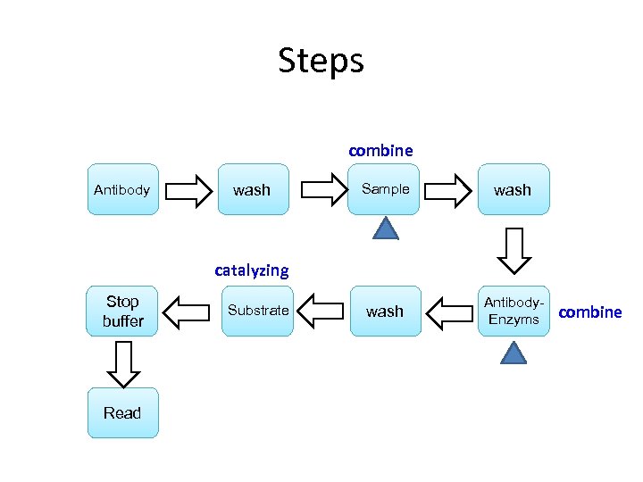 Steps combine Antibody wash Sample wash Antibody. Enzyms catalyzing Stop buffer Read Substrate combine