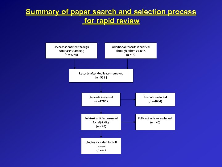 Summary of paper search and selection process for rapid review 