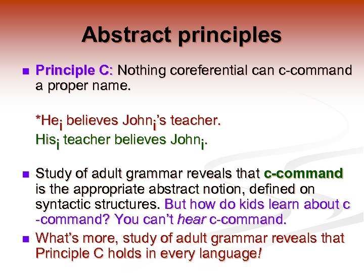 Abstract principles n Principle C: Nothing coreferential can c-command a proper name. *Hei believes