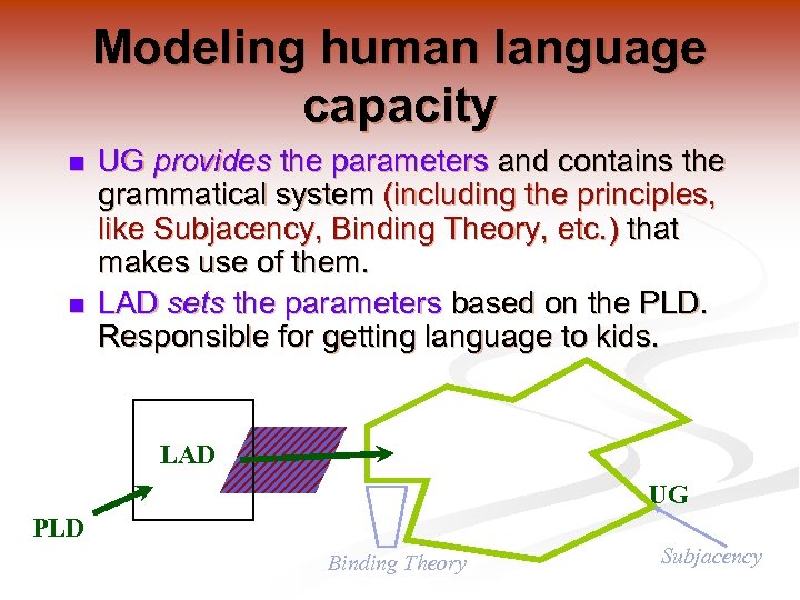 Modeling human language capacity n n UG provides the parameters and contains the grammatical