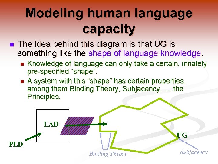 Modeling human language capacity n The idea behind this diagram is that UG is