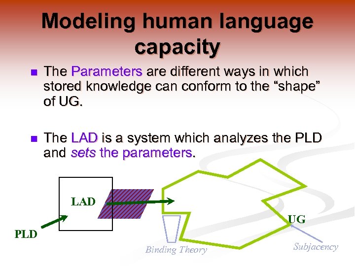 Modeling human language capacity n The Parameters are different ways in which stored knowledge