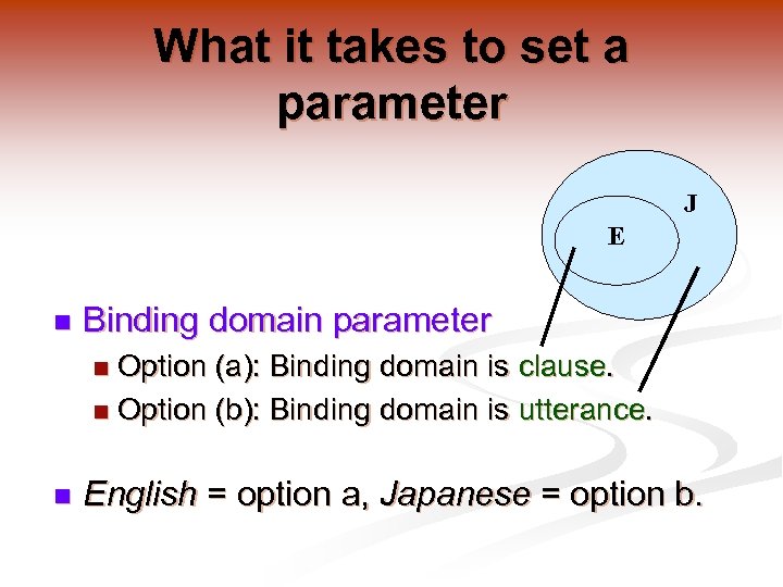 What it takes to set a parameter J E n Binding domain parameter Option