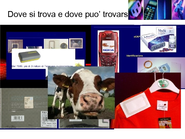 Dove si trova e dove puo’ trovarsi 