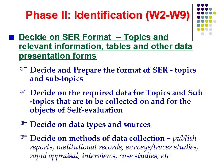 Phase II: Identification (W 2 -W 9) Decide on SER Format – Topics and