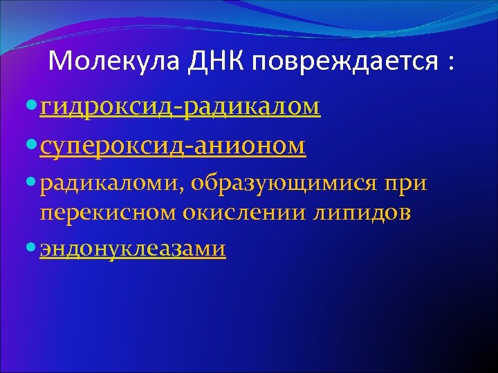 Молекула ДНК повреждается : гидроксид-радикалом супероксид-анионом радикаломи, образующимися при перекисном окислении липидов эндонуклеазами 