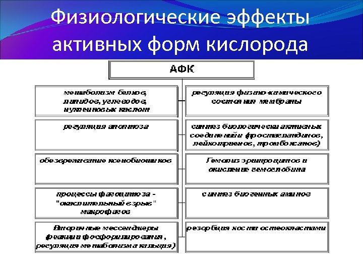 Физиологические эффекты активных форм кислорода 