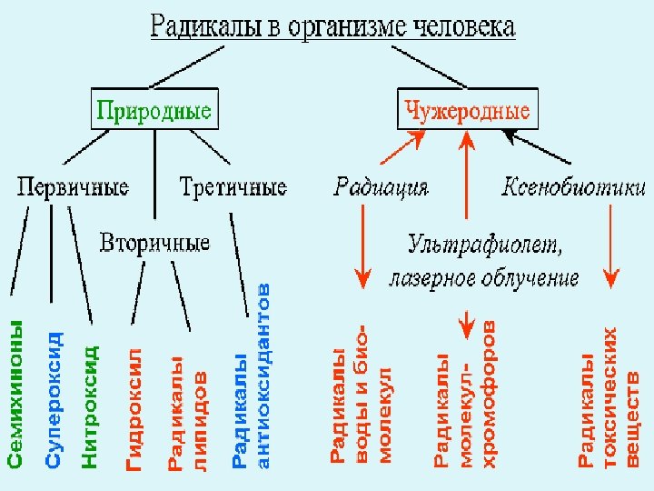 Окислительный стресс картинки