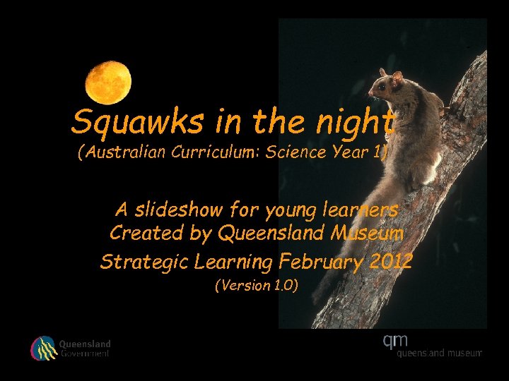 Squawks in the night (Australian Curriculum: Science Year 1) A slideshow for young learners