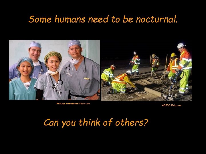 Some humans need to be nocturnal. Re. Surge International Flickr. com Can you think