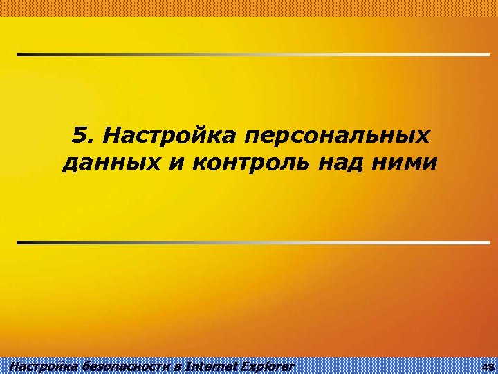 5. Настройка персональных данных и контроль над ними Настройка безопасности в Internet Explorer 48