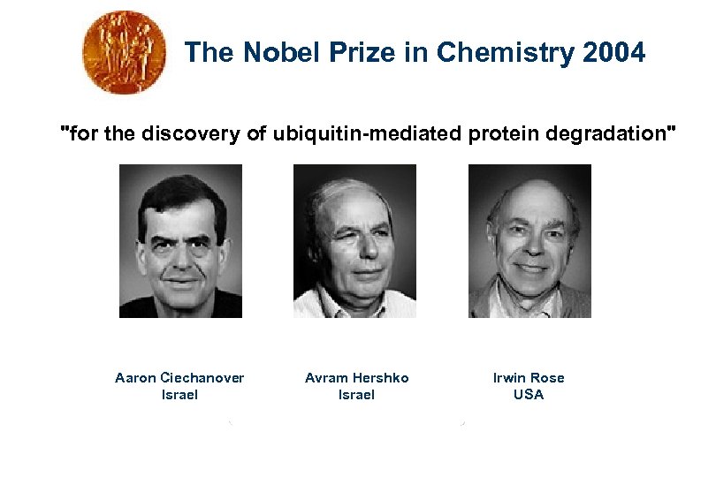 The Nobel Prize in Chemistry 2004 