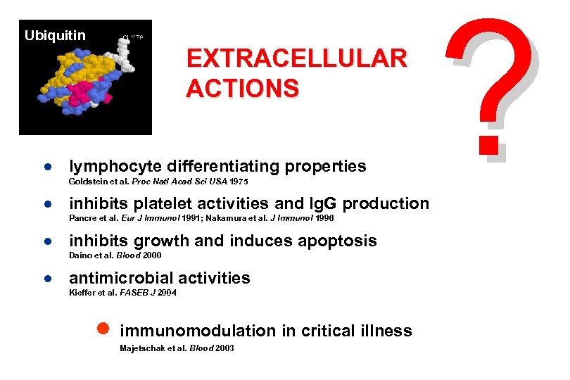 Ubiquitin EXTRACELLULAR ACTIONS ● lymphocyte differentiating properties Goldstein et al. Proc Natl Acad Sci