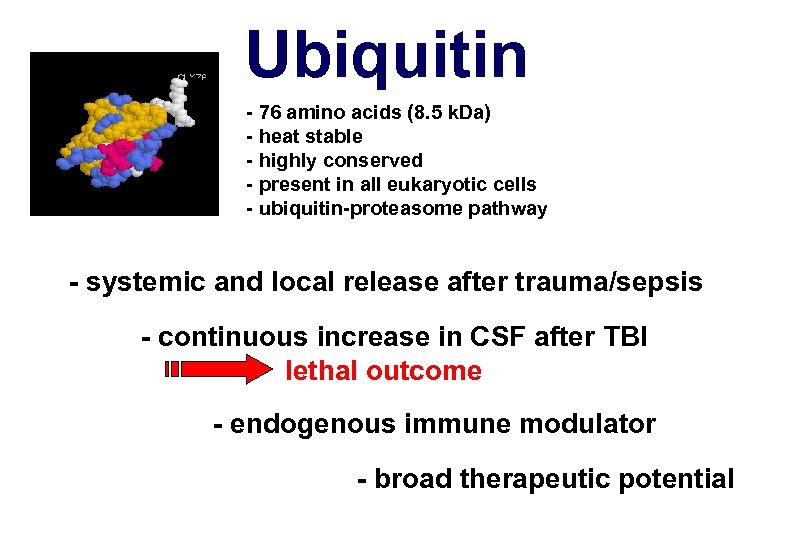 Ubiquitin - 76 amino acids (8. 5 k. Da) - heat stable - highly