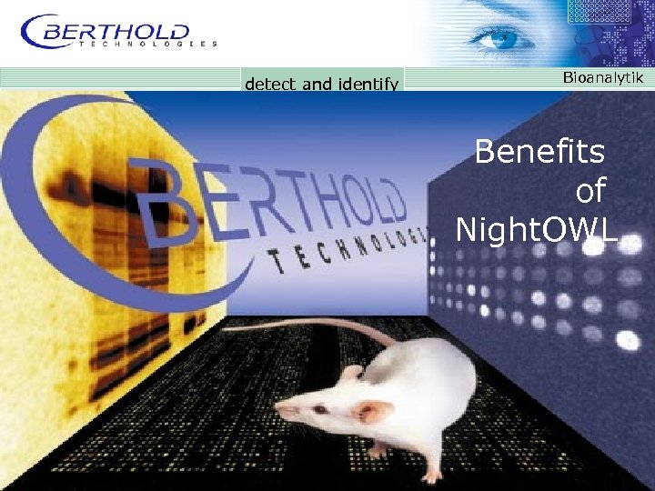 detect and identify Bioanalytik Benefits Over 25 years of experience in Imaging Night. OWL