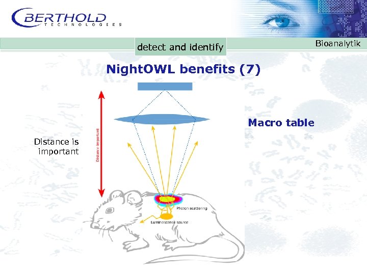 Bioanalytik detect and identify Night. OWL benefits (7) Macro table Distance is important 