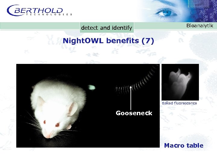 detect and identify Bioanalytik Night. OWL benefits (7) ds. Red fluorescence Gooseneck Macro table
