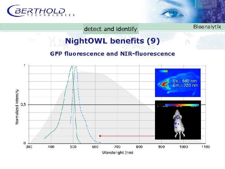 Bioanalytik detect and identify Night. OWL benefits (9) GFP fluorescence and NIR-fluorescence Ex. :