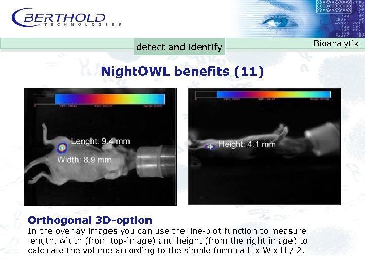 detect and identify Night. OWL benefits (11) Orthogonal 3 D-option In the overlay images