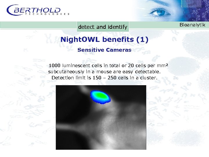 detect and identify Night. OWL benefits (1) Sensitive Cameras 1000 luminescent cells in total