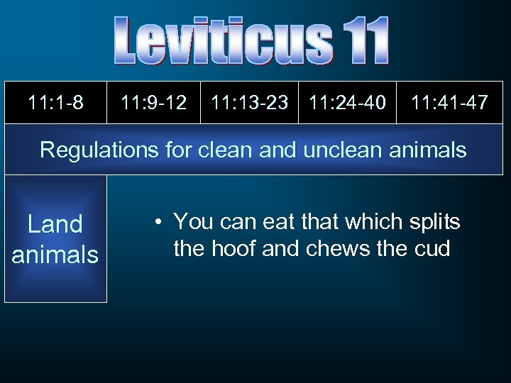 11: 1 -8 11: 9 -12 11: 13 -23 11: 24 -40 11: 41