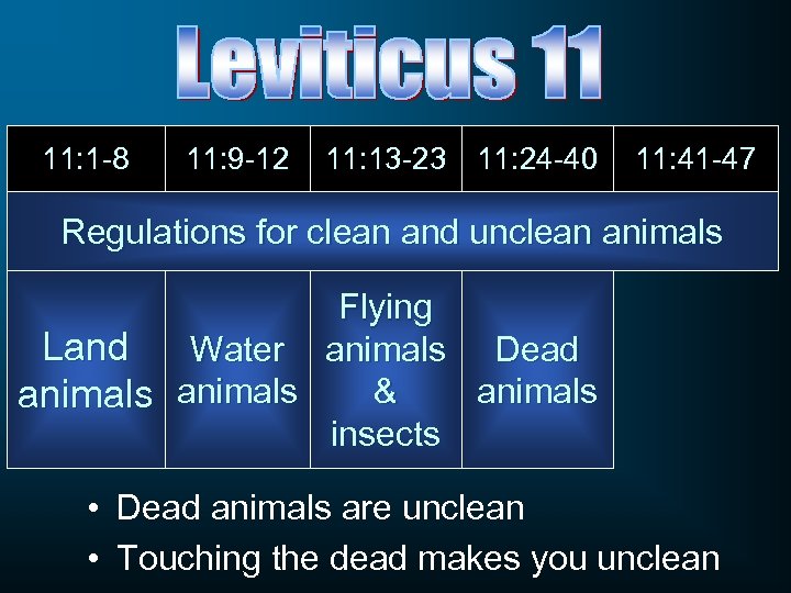 11: 1 -8 11: 9 -12 11: 13 -23 11: 24 -40 11: 41