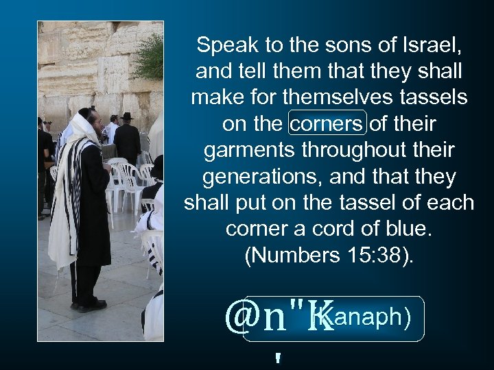 Speak to the sons of Israel, and tell them that they shall make for