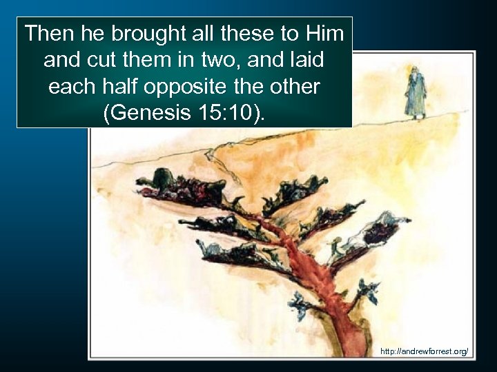 Then he brought all these to Him and cut them in two, and laid