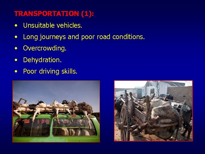 TRANSPORTATION (1): • Unsuitable vehicles. • Long journeys and poor road conditions. • Overcrowding.