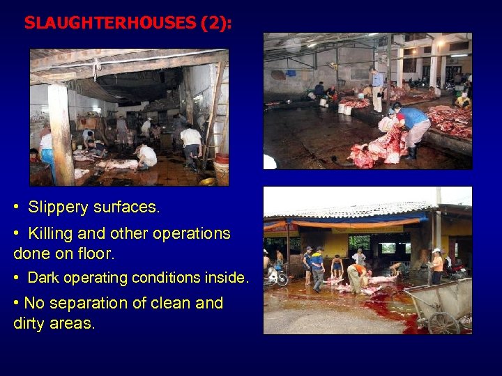 SLAUGHTERHOUSES (2): • Slippery surfaces. • Killing and other operations done on floor. •