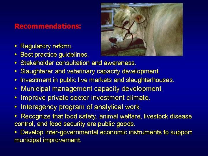 Recommendations: • • • Regulatory reform. Best practice guidelines. Stakeholder consultation and awareness. Slaughterer