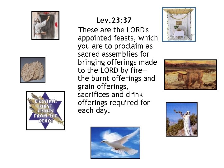 Lev. 23: 37 These are the LORD's appointed feasts, which you are to proclaim