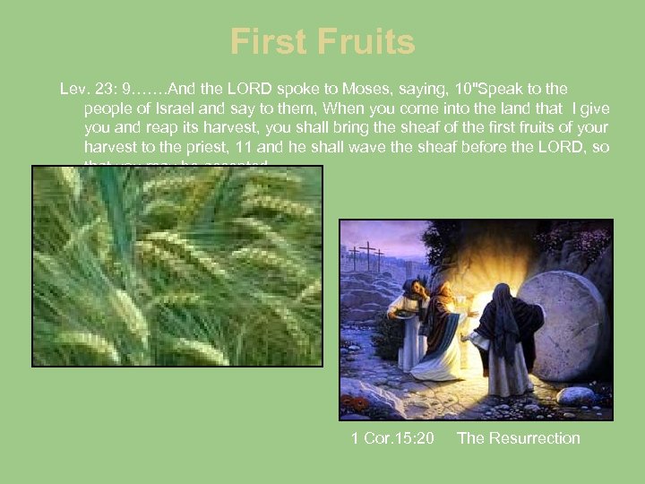 First Fruits Lev. 23: 9……. And the LORD spoke to Moses, saying, 10