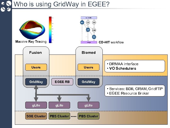 Who is using Grid. Way in EGEE? Massive Ray Tracing CD-HIT workflow Fusion Biomed