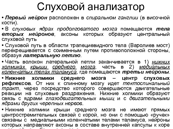 Слуховой анализатор • Первый нейрон расположен в спиральном ганглии (в височной кости). • В