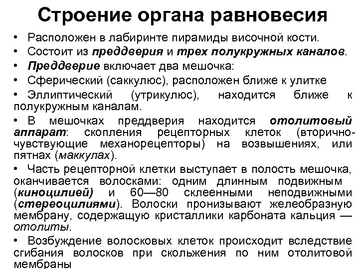 Строение органа равновесия • Расположен в лабиринте пирамиды височной кости. • Состоит из преддверия