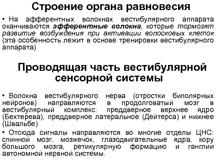 Строение органа равновесия • На афферентных волокнах вестибулярного аппарата оканчиваются эфферентные волокна, которые тормозят
