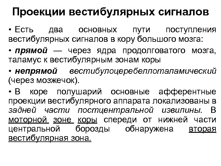Проекции вестибулярных сигналов • Есть два основных пути поступления вестибулярных сигналов в кору большого