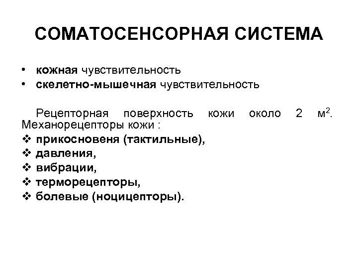 Соматосенсорная температура. Соматосенсорная чувствительность. Соматосенсорная нервная система. Соматовисцеральная чувствительность. Соматосенсорная система строение.