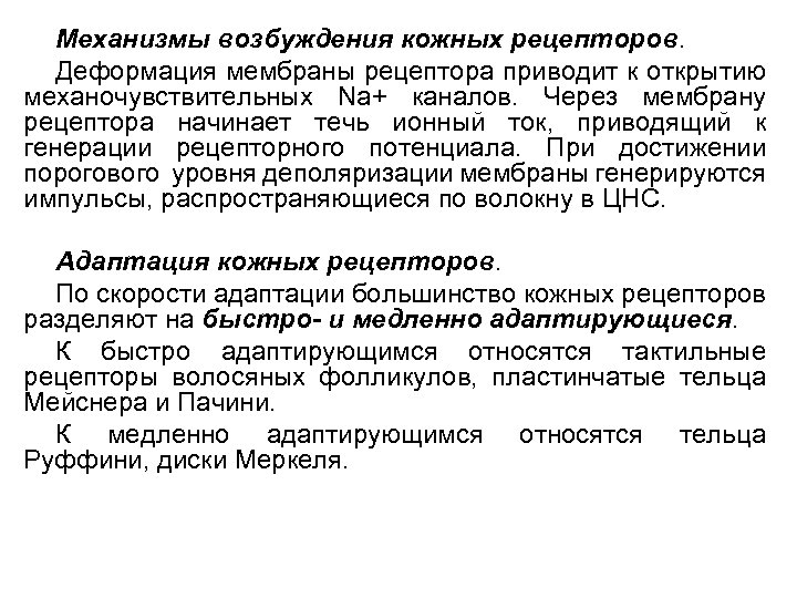 Механизмы возбуждения кожных рецепторов. Деформация мембраны рецептора приводит к открытию механочувствительных Na+ каналов. Через