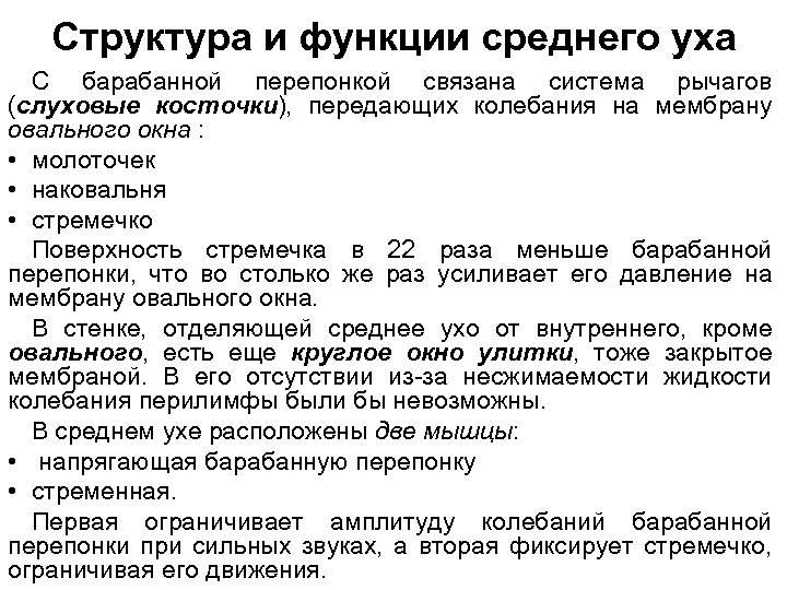 Структура и функции среднего уха С барабанной перепонкой связана система рычагов (слуховые косточки), передающих